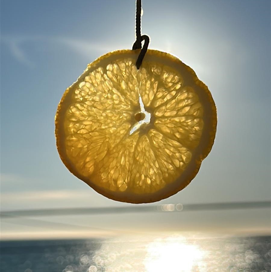 Sizilianische Zitrusfrüchte - Orangen und Zitronen in rustikaler Holzschale, unbehandelt und bio